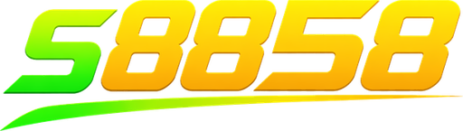 vns8858.net Logo
